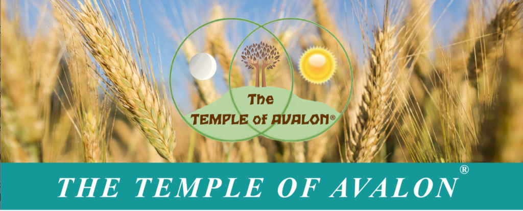 TEMPLE OF AVALON